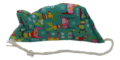 Rudolf on Teal Catnip Mouse